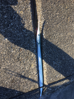 高アピールなセットアッパージャークで青物