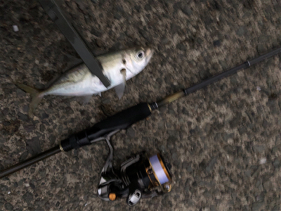 ランガンアジング