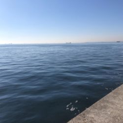 今年 最後の武庫川一文字