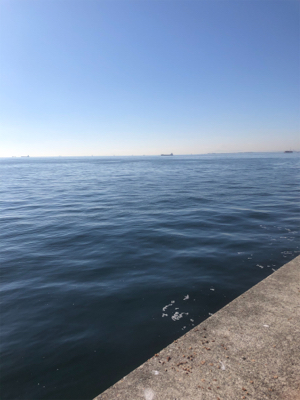 今年 最後の武庫川一文字