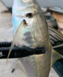 デイでボコボコ