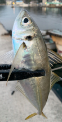 デイでボコボコ