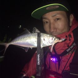 明石アジング☆回遊あるぞ！GUNNING-STYLE