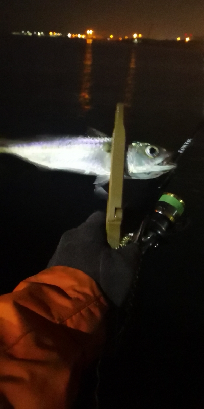 アジング練習 75