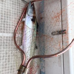 今年最後のマイボート釣行