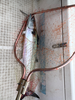 今年最後のマイボート釣行