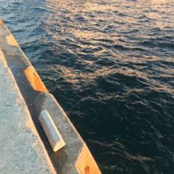 アジは釣れます^ ^