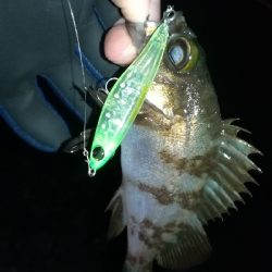 ナイトメバリング