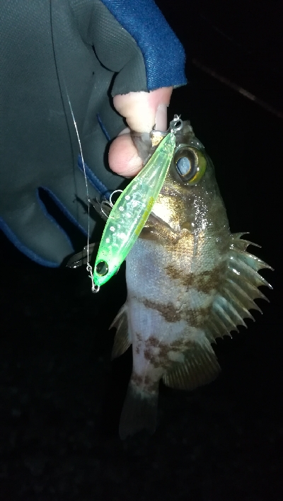 ナイトメバリング