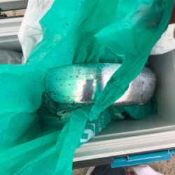 タチウオまだいける！