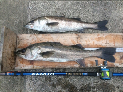 三種盛りならず