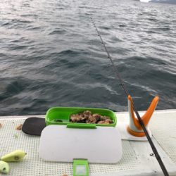 出たカワハギ35.5センチ