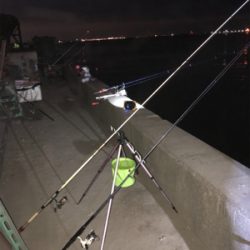 今年最後の投げ釣りでしたが❓