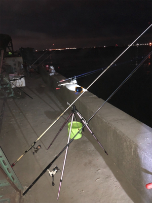 今年最後の投げ釣りでしたが❓