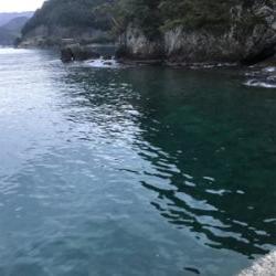 イカ、メバル不在