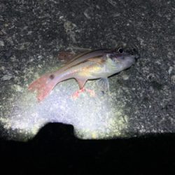 なかなか厳しい