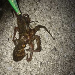 キロアップ？！