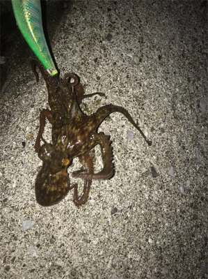 キロアップ？！