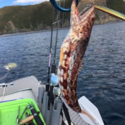 マイボートで根魚狙い。