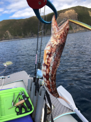 マイボートで根魚狙い。