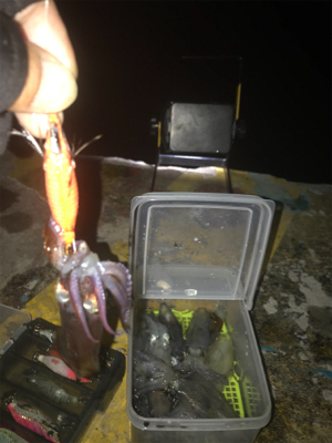 久しぶりにヒイカ釣れたσ(^_^;)