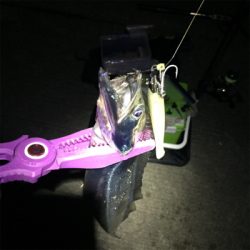 ライトタックルでたちうお