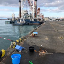 まだメッキ釣れてます