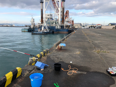 まだメッキ釣れてます