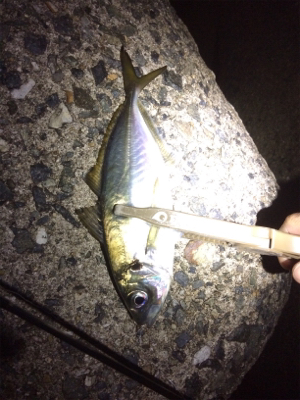 久しぶりの短時間決戦