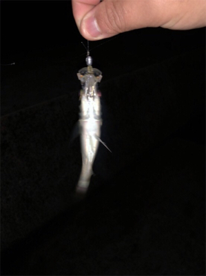 アジングテスト行ってきました。