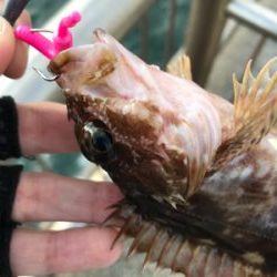 デイでライトゲーム