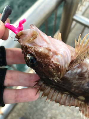 デイでライトゲーム