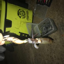 寒い中でのヒイカ釣りσ(^_^;)