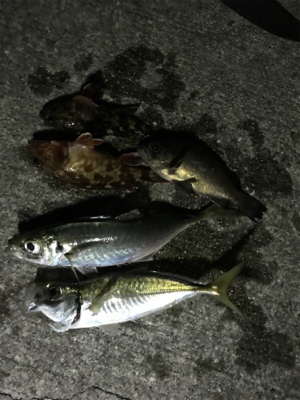 最低限のマナーを守って！