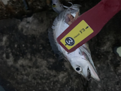 何とか、居てました。