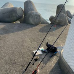 ワールドシャウラーの鱗付には充分すぎる釣行