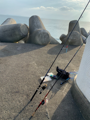 ワールドシャウラーの鱗付には充分すぎる釣行