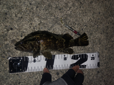 スーパーライトショアジギング