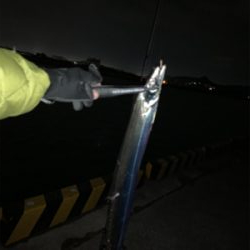 凪の間のドラゴンハント