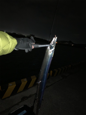 凪の間のドラゴンハント