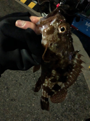 激シブアジング