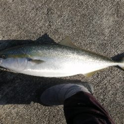 今年の締めにふさわしく！