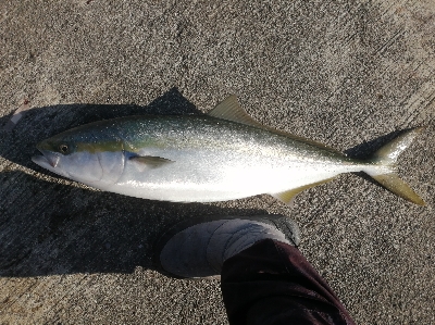 今年の締めにふさわしく！