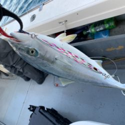 丹後沖ジギング