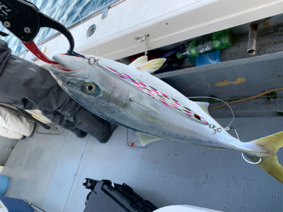 丹後沖ジギング