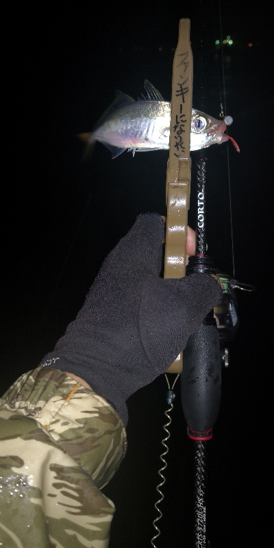 アジング練習 85