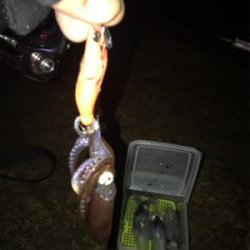 久しぶりにヒイカプチ地合い(^｡^)