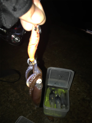 久しぶりにヒイカプチ地合い(^｡^)