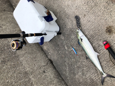 西風が少し強い中でのジギング!