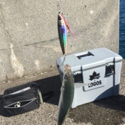 ライトショアジギング